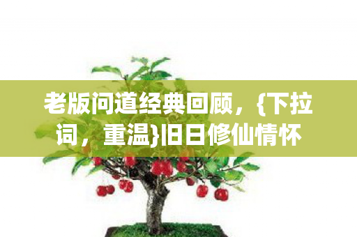 老版问道经典回顾图片