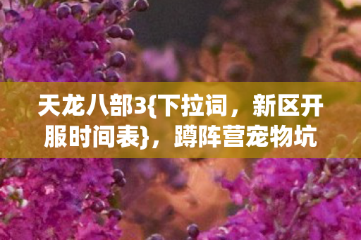 蹲阵营宠物坑的难忘日子图片
