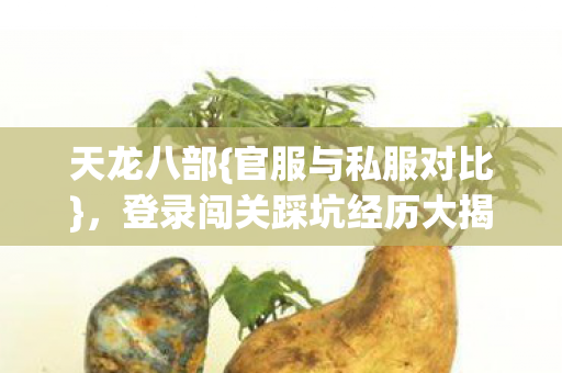登录闯关踩坑经历大揭秘图片