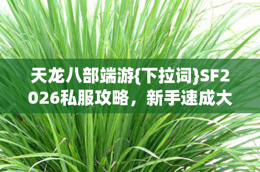 SF2026私服攻略图片
