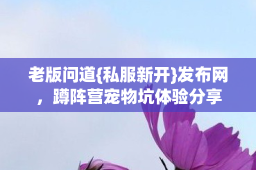 蹲阵营宠物坑体验分享图片
