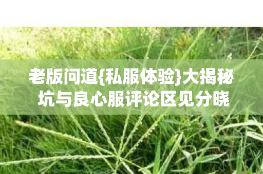 大揭秘 坑与良心服评论区见分晓图片