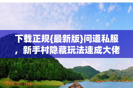 新手村隐藏玩法速成大佬图片