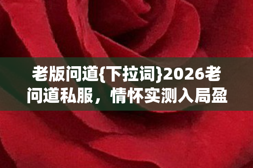 情怀实测入局盈亏解析图片