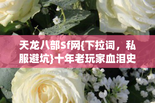 十年老玩家血泪史新手必看图片