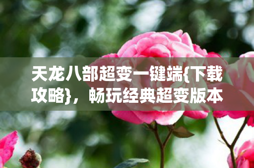 天龙八部超变一键端图片
