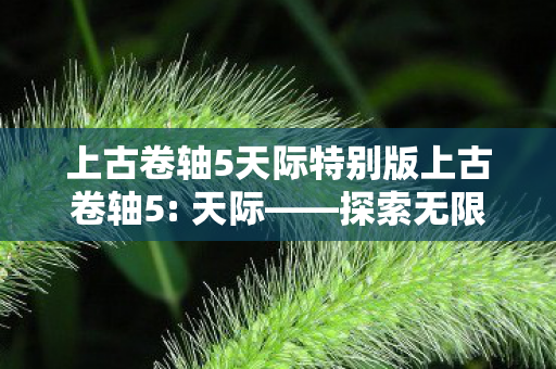 上古卷轴5天际特别版上古卷轴5: 天际——探索无限可能的奇幻世界，上古卷轴5: 天际探索奇幻世界的无限可能