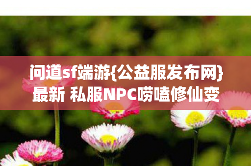最新 私服NPC唠嗑修仙变味图片