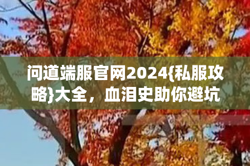 问道端服官网2024图片