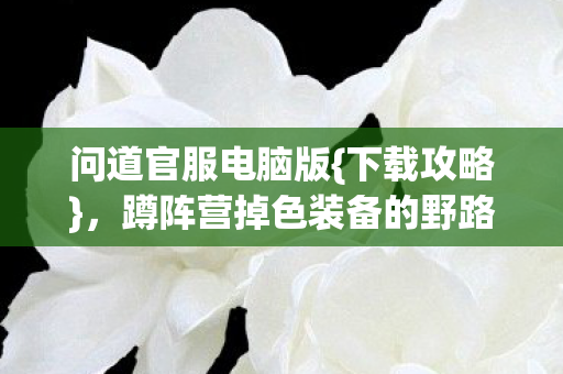 蹲阵营掉色装备的野路子史图片