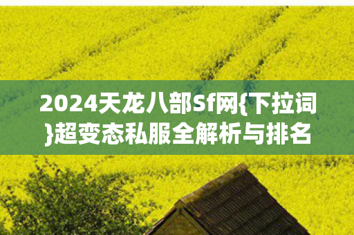 超变态私服全解析与排名避坑图片