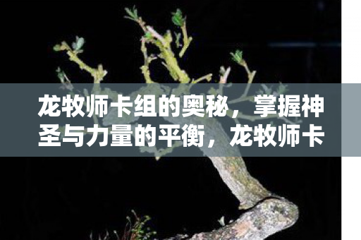 龙牧师卡组的奥秘，掌握神圣与力量的平衡，龙牧师卡组的奥秘，掌握神圣与力量的平衡之道
