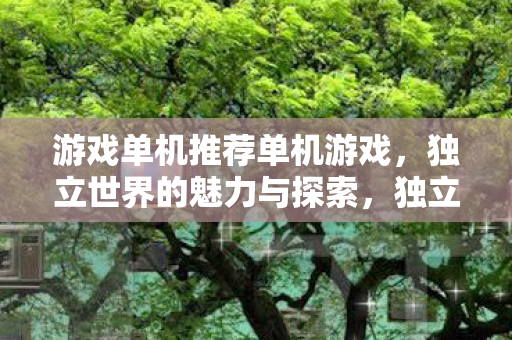 游戏单机推荐单机游戏，独立世界的魅力与探索，独立世界的魅力与探索，单机游戏推荐