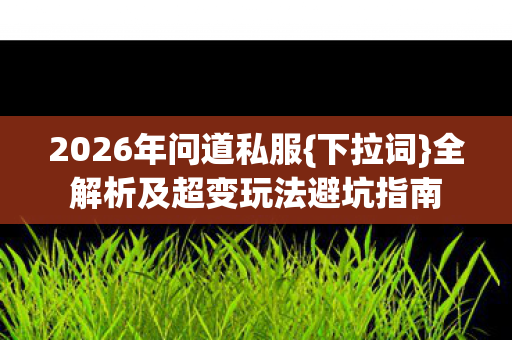 2026年问道私服{下拉词}全解析及超变玩法避坑指南