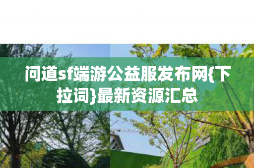 问道sf端游公益服发布网图片