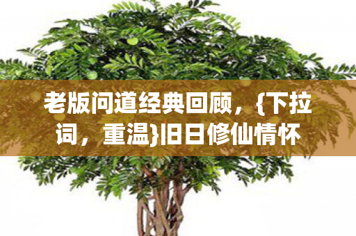 老版问道经典回顾图片