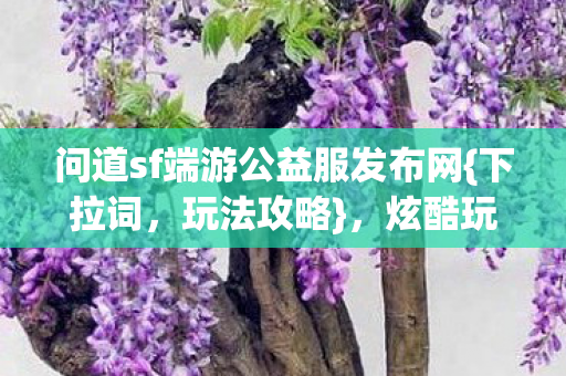 问道sf端游公益服发布网图片