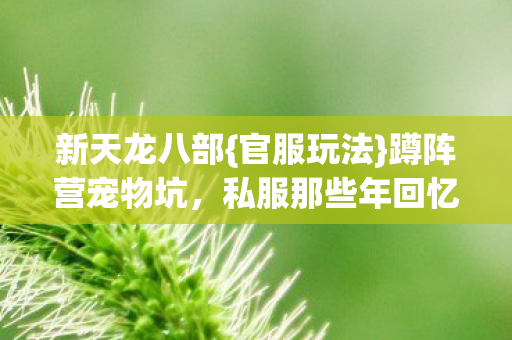 私服那些年回忆图片