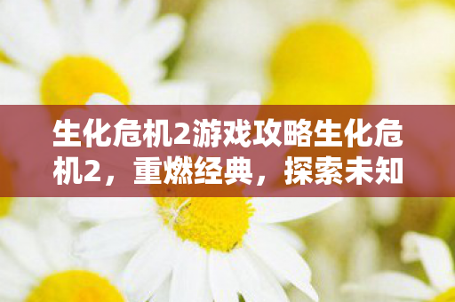 生化危机2游戏攻略生化危机2，重燃经典，探索未知恐惧，生化危机2重燃经典，探索未知恐惧的攻略指南