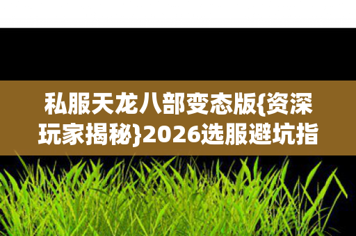 2026选服避坑指南图片
