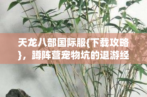 天龙八部国际服{下载攻略}，蹲阵营宠物坑的退游经历