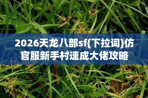 仿官服新手村速成大佬攻略图片