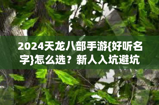 2024天龙八部手游图片