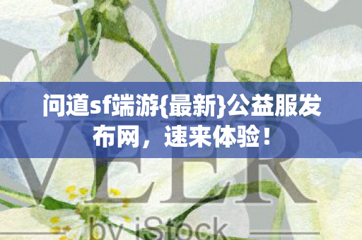 问道sf端游图片