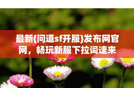 最新{问道sf开服}发布网官网，畅玩新服下拉词速来