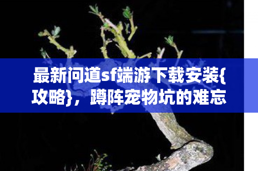 最新问道sf端游下载安装{攻略},蹲阵宠物坑的难忘经历 最新问道sf端游下载安装{攻略},蹲阵宠物坑的难忘经历