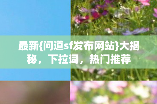 问道sf发布网站图片