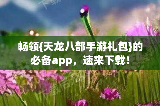 天龙八部手游礼包图片