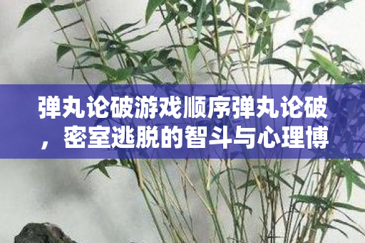 弹丸论破游戏顺序弹丸论破，密室逃脱的智斗与心理博弈，弹丸论破，智斗与心理博弈的密室逃脱之旅