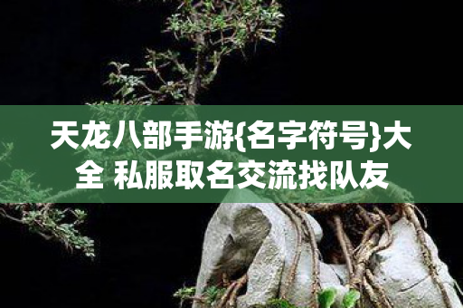 大全 私服取名交流找队友图片