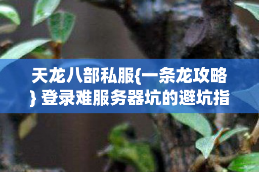 登录难服务器坑的避坑指南图片