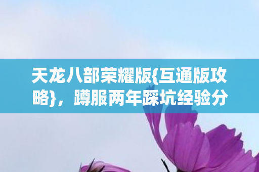 蹲服两年踩坑经验分享图片