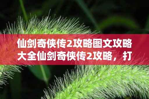 仙剑奇侠传2攻略图文攻略大全仙剑奇侠传2攻略，打造完美游戏之旅，仙剑奇侠传2攻略，打造完美游戏之旅