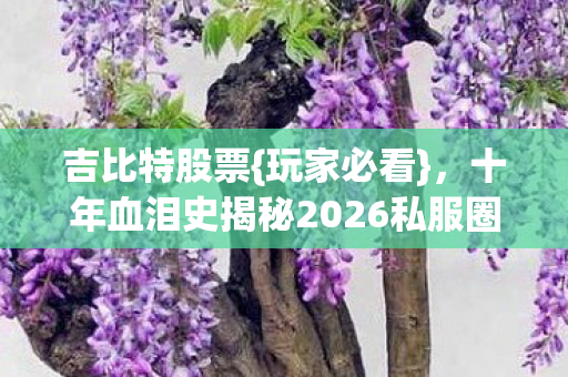吉比特股票{玩家必看},十年血泪史揭秘2026私服圈3大坑 吉比特股票{玩家必看},十年血泪史揭秘2026私服圈3大坑