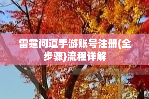 雷霆问道手游账号注册{全步骤}流程详解 雷霆问道手游账号注册{全步骤}流程详解