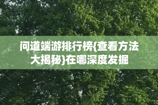 问道端游排行榜{查看方法大揭秘}在哪深度发掘 问道端游排行榜{查看方法大揭秘}在哪深度发掘
