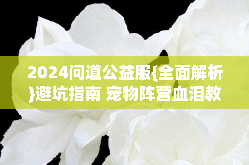 2024问道公益服{全面解析}避坑指南 宠物阵营血泪教训必看 2024问道公益服{全面解析}避坑指南 宠物阵营血泪教训必看