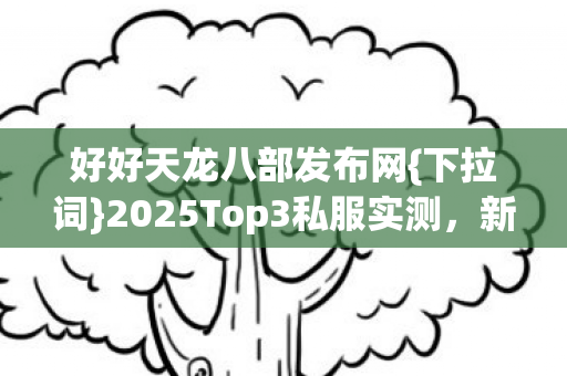 2025Top3私服实测图片