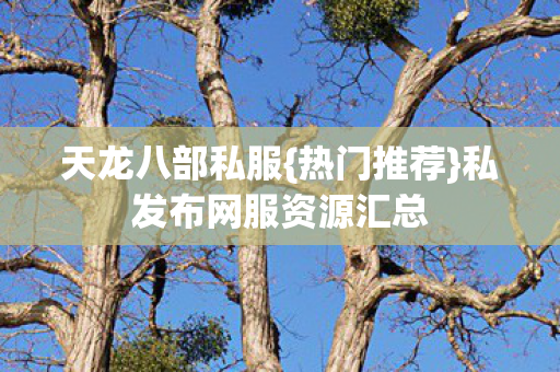 私发布网服资源汇总图片