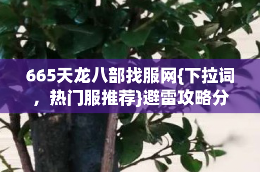 665天龙八部找服网{下拉词,热门服推荐}避雷攻略分享 665天龙八部找服网{下拉词,热门服推荐}避雷攻略分享