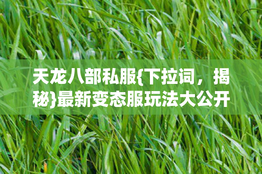 最新变态服玩法大公开图片