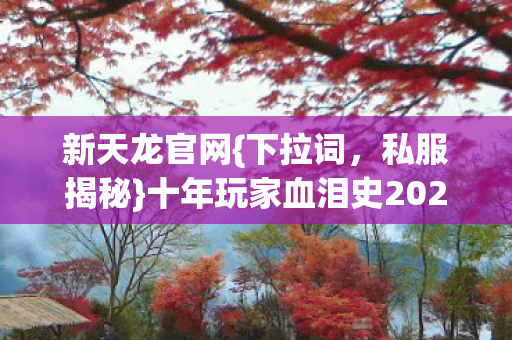 十年玩家血泪史2026选服避坑必看图片