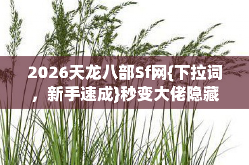 2026天龙八部Sf网图片