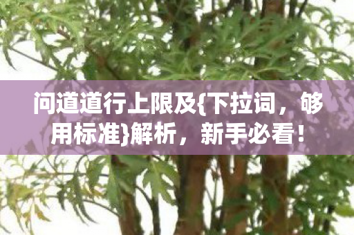问道道行上限及{下拉词,够用标准}解析,新手必看! 问道道行上限及{下拉词,够用标准}解析,新手必看!