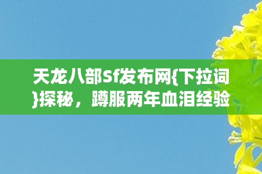 蹲服两年血泪经验分享图片