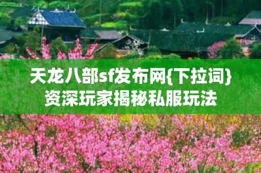 资深玩家揭秘私服玩法图片